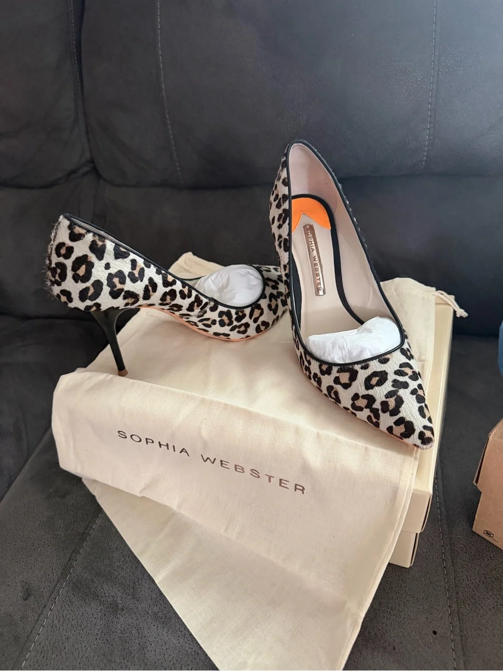 Sophia Webster Leopard-Print Pointed Toe Pumps - Beige, Black